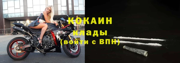 амф Богданович