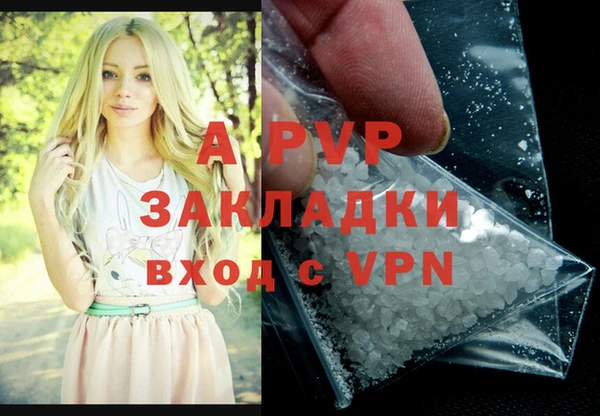 амф Богданович