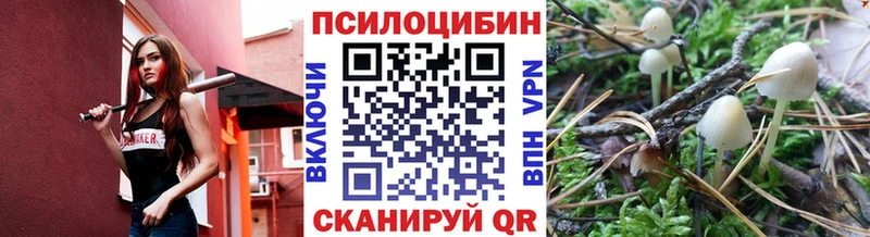 Купить закладки  Дубовка  Псилоцибиновые грибы ЛСД 